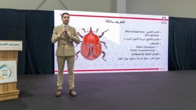 بلدية دبا
