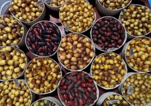 من ليوا إلى العين.. موسم الرطب يواصل رحلته بين واحات أبوظبي 3 من ليوا إلى العين.. موسم الرطب يواصل رحلته بين واحات أبوظبي