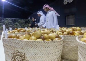 من ليوا إلى العين والوثبة.. «تحكيم الرطب» يعزز الممارسات الزراعية المستدامة 2 من ليوا إلى العين والوثبة.. «تحكيم الرطب» يعزز الممارسات الزراعية المستدامة