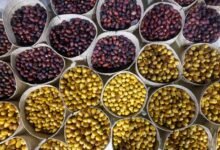 من ليوا إلى العين والوثبة.. «تحكيم الرطب» يعزز الممارسات الزراعية المستدامة 10 من ليوا إلى العين والوثبة.. «تحكيم الرطب» يعزز الممارسات الزراعية المستدامة
