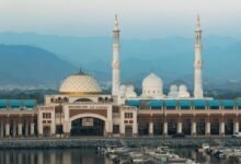 سوق الجبيل في كلباء يستقطب أكثر من 372 ألف زائر خلال النصف الأول 21 سوق الجبيل في كلباء يستقطب أكثر من 372 ألف زائر خلال النصف الأول