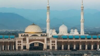 سوق الجبيل في كلباء يستقطب أكثر من 372 ألف زائر خلال النصف الأول 2 سوق الجبيل في كلباء يستقطب أكثر من 372 ألف زائر خلال النصف الأول