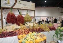 "مهرجان الذيد للرطب" ينطلق غداً في إكسبو الذيد