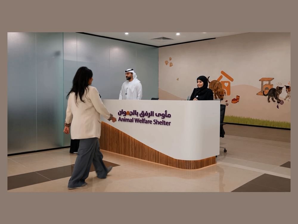بلدية دبي تفتتح مأوى متكاملاً للحيوانات الأليفة في ورسان وتُطلق منصة رقمية لتسهيل عملية التبني 1 بلدية دبي تفتتح مأوى متكاملاً للحيوانات الأليفة في ورسان وتُطلق منصة رقمية لتسهيل عملية التبني