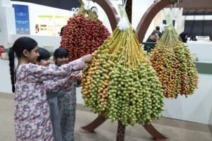 «العين للرطب».. خبرات زراعية وتراثية تتجدد بالمشاركة