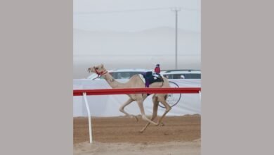 "الفايضة" تتصدر شوط "الحقايق" بمهرجان العين لسباقات الهجن 2 "الفايضة" تتصدر شوط "الحقايق" بمهرجان العين لسباقات الهجن