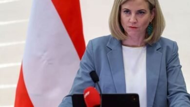 النمسا تشدد على ضرورة مواصلة تنفيذ خطة السلام في غزة 2 النمسا تشدد على ضرورة مواصلة تنفيذ خطة السلام في غزة