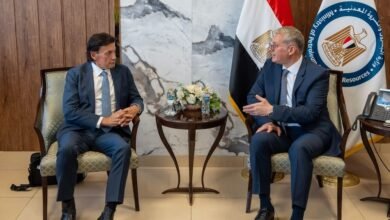 مصر تؤكد تعزيز التعاون مع الشركات الإماراتية في قطاع الطاقة 4 مصر تؤكد تعزيز التعاون مع الشركات الإماراتية في قطاع الطاقة