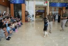 شرطة أبوظبي تعزز الوعي الأمني للأطفال بفعاليات تعليمية وترفيهية 15 شرطة أبوظبي