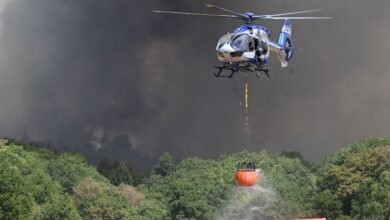 إجلاء 1800 شخص بسبب حريق غابات غرب ألمانيا 2 ألمانيا