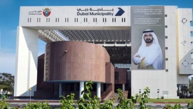 بلدية دبي تعيد تنظيم 20 خدمة لتعزيز كفاءة الأداء الحكومي وتبسيط الإجراءات 3 بلدية دبي تعيد تنظيم 20 خدمة لتعزيز كفاءة الأداء الحكومي وتبسيط الإجراءات