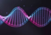 الإمارات تنقل الرعاية الصحية من الوقاية التقليدية إلى الاستشعار المبكر للمخاطر 11 الإمارات