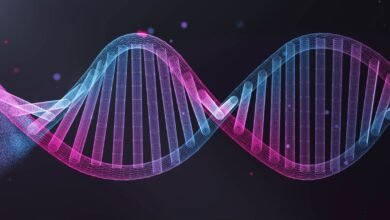 الإمارات تنقل الرعاية الصحية من الوقاية التقليدية إلى الاستشعار المبكر للمخاطر 3 الإمارات