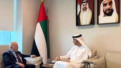 إعادة تشكيل مجلس الأعمال الإماراتي السوري 3 الإماراتي