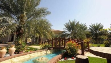 دراسة