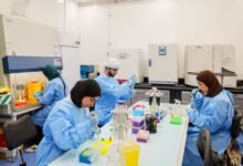 جامعة خليفة ضمن أفضل 200 جامعة عالميا في أربعة من أهداف الأمم المتحدة للتنمية المستدامة 17 جامعة خليفة