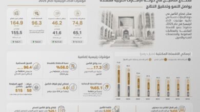 أصول قطاع التأمين