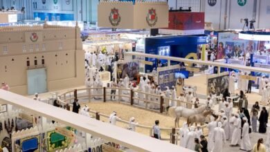 الإمارات للخيول العربية