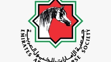 جمال الخيل العربية