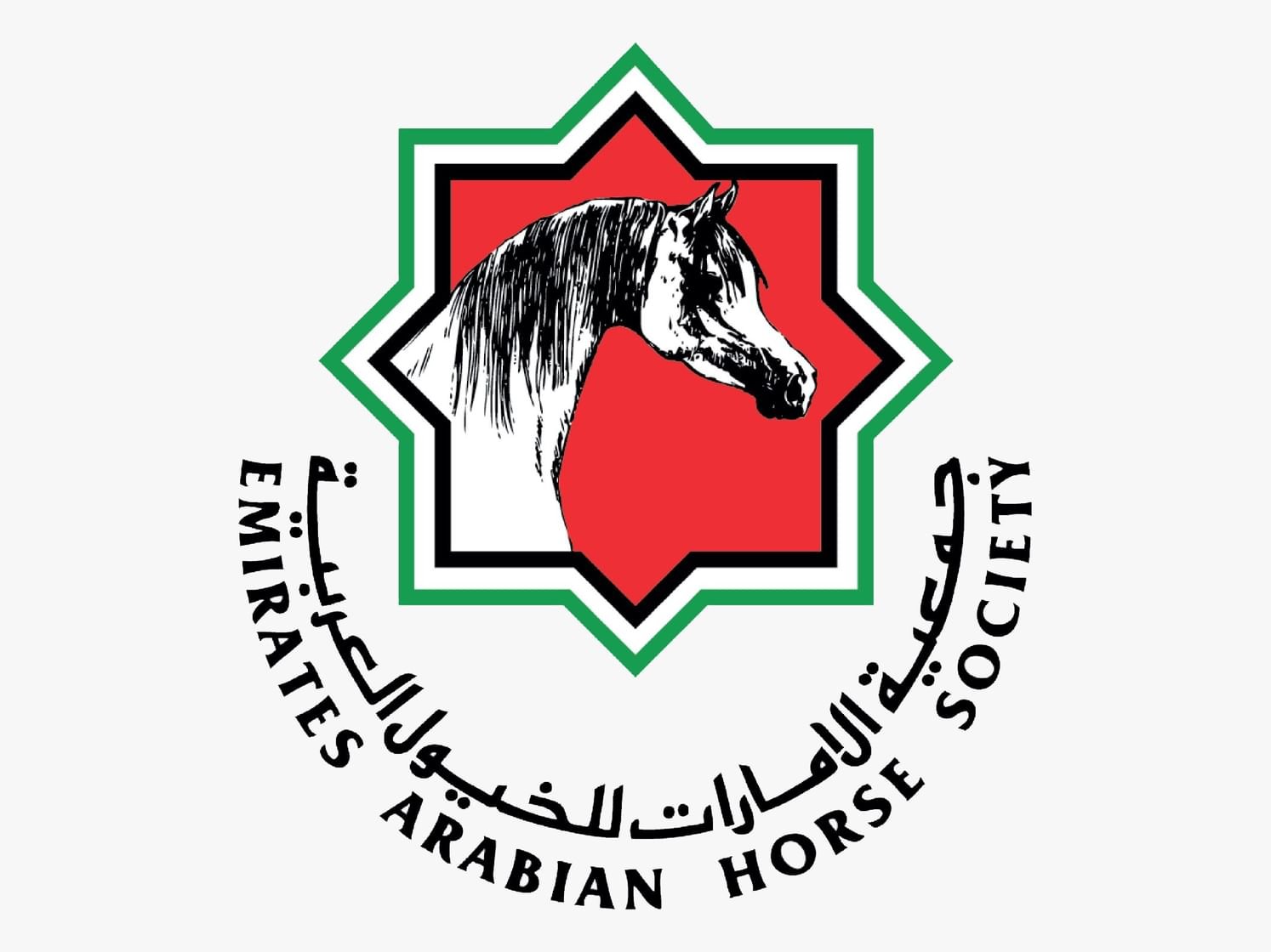 اعتماد برنامج بطولات ومزادات جمال الخيل العربية بالدولة لموسم 2026 -2027 1 جمال الخيل العربية