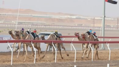 نور