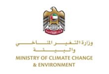 المرحلة الأولى