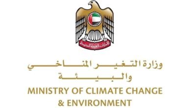 المرحلة الأولى