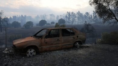 اليونان تصدر تحذيرا شديدا بشأن نشوب حرائق الغابات اليوم 3 اليونان