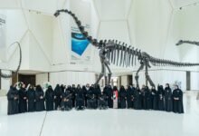 الإمارات للتنمية المتوازنة