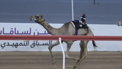 "زاخر" تحصد أول أشواط "الحقايق" بأفضل توقيت في مهرجان العين للهجن 4 "زاخر" تحصد أول أشواط "الحقايق" بأفضل توقيت في مهرجان العين للهجن