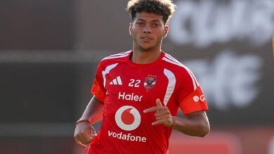 إمام عاشور