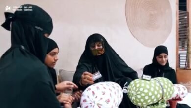مهرجان الشيخ زايد الصيفي 2026