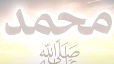 سيف بن زايد في ذكرى مولد الرسول ﷺ تتجلى سيرة قوامها الرحمة وميزانها العدل