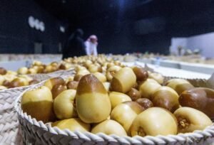 انطلاق «الوثبة للرطب» بدورته الأولى غداً الإثنين