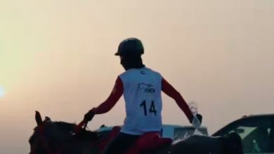منصور بن زايد يعتمد برنامج موسم سباقات الخيل وبطولات الفروسية لعام 2026 – 2027 2 منصور بن زايد