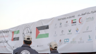 "الفارس الشهم 3"