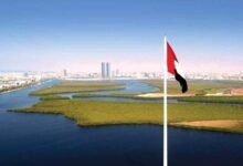 رأس الخيمة.. وجهة استثمارية عالمية بامتياز في النصف الأول من 2026 34 رأس الخيمة