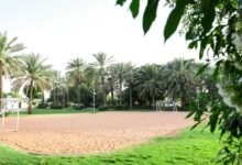 279 حديقة عامة وسكنية تعزز رفاه المجتمع في مدينة العين 15 279 حديقة عامة وسكنية تعزز رفاه المجتمع في مدينة العين