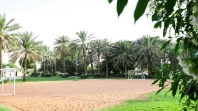 279 حديقة عامة وسكنية تعزز رفاه المجتمع في مدينة العين 2 279 حديقة عامة وسكنية تعزز رفاه المجتمع في مدينة العين