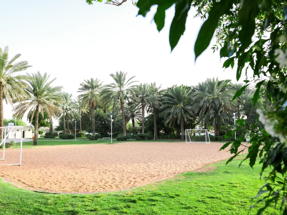 279 حديقة عامة وسكنية تعزز رفاه المجتمع في مدينة العين 1 279 حديقة عامة وسكنية تعزز رفاه المجتمع في مدينة العين