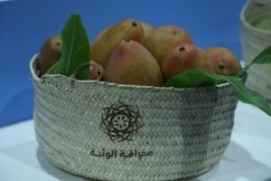 فاكهة الصيف تبرز تنوع الإنتاج الزراعي في «الوثبة للرطب» 6 فاكهة الصيف تبرز تنوع الإنتاج الزراعي في «الوثبة للرطب»