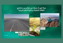 كهرباء دبي تواصل مشاريع الطاقة النظيفة لتحقيق أهداف الاستدامة مع حلول 2050 17 كهرباء دبي تواصل مشاريع الطاقة النظيفة لتحقيق أهداف الاستدامة مع حلول 2050
