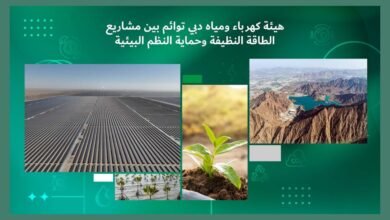 كهرباء دبي تواصل مشاريع الطاقة النظيفة لتحقيق أهداف الاستدامة مع حلول 2050 3 كهرباء دبي تواصل مشاريع الطاقة النظيفة لتحقيق أهداف الاستدامة مع حلول 2050