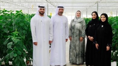 "تحدي الأثر المستدام" ترسخ ثقافة الابتكار