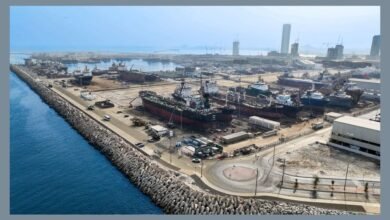 "دبي الملاحية" تسجل رقماً قياسياً باستقبال 52 سفينة في يوم واحد