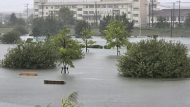 ارتفاع حصيلة ضحايا إعصار "دوجوان" باليابان إلى 9 أشخاص 6 دوجوان