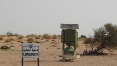 إماراتي