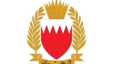 الدفاع الجوي
