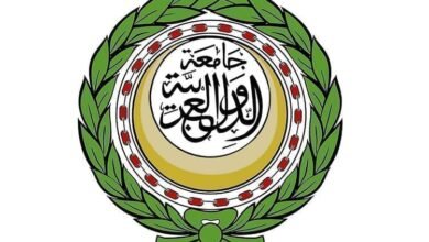 خبراء عرب يبحثون تعزيز التكامل في قطاع الطاقة 3 خبراء عرب