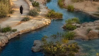 مبادرة محمد بن زايد للماء
